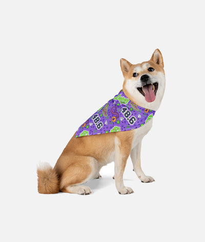 Dopey Strong Dog Bandana*